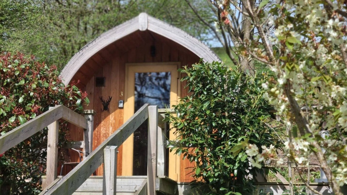 Marshbrook Cabin | mega pod 2 - a mega pod that sleeps 4 guests in 1 bedroom