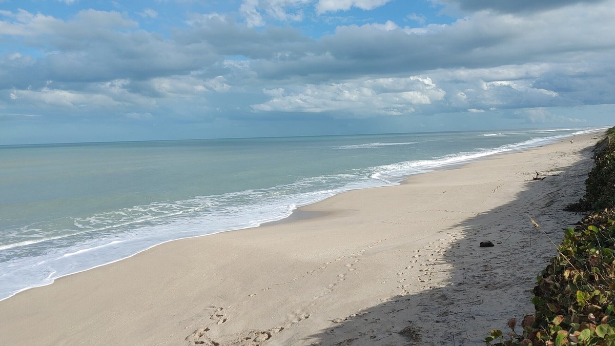 Melbourne Beach House | Melbourne Beach House and Basement Apt on 1.2 acres ocean front