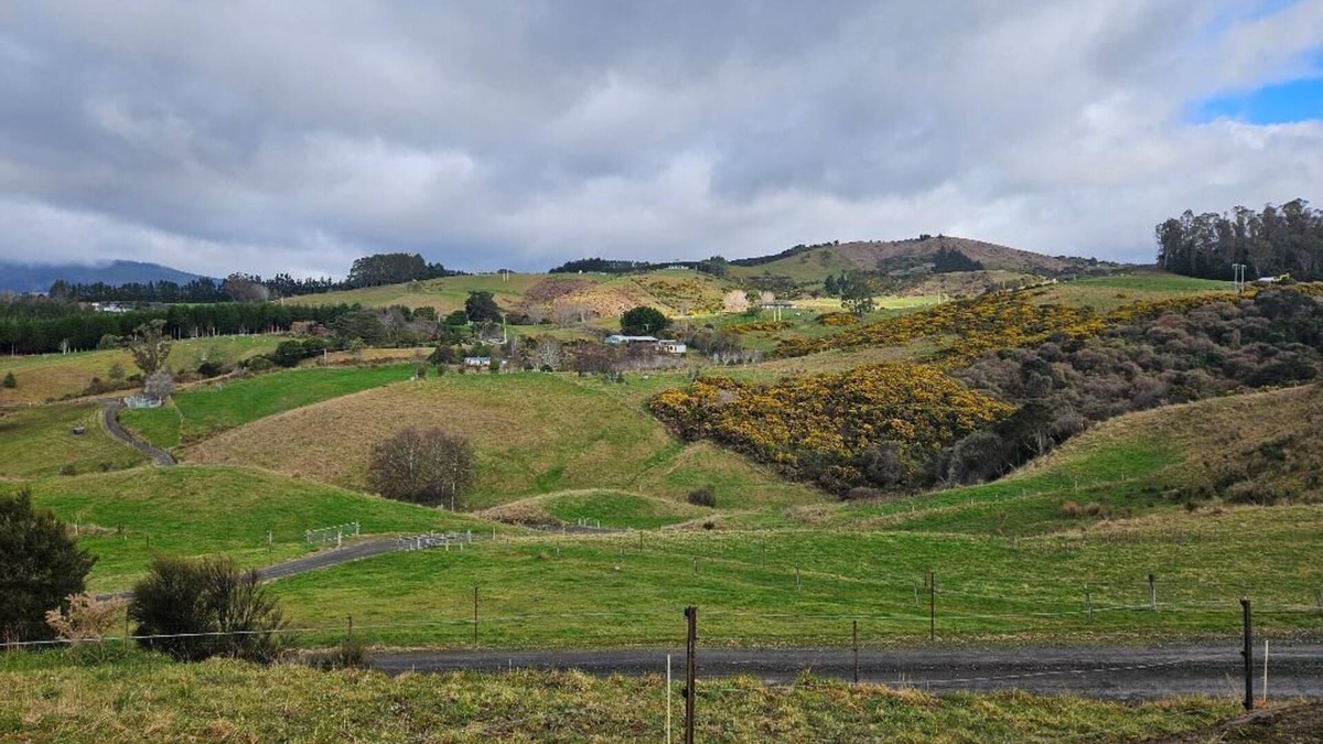 Dunedin House | Melmarie Cosy Retreat X by Tiny Away