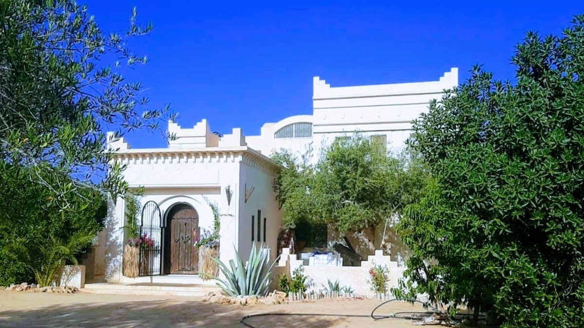 Taguermess Villa | Menzel Soltane Ahmed, a jewel in the heart of an enchanting olive grove