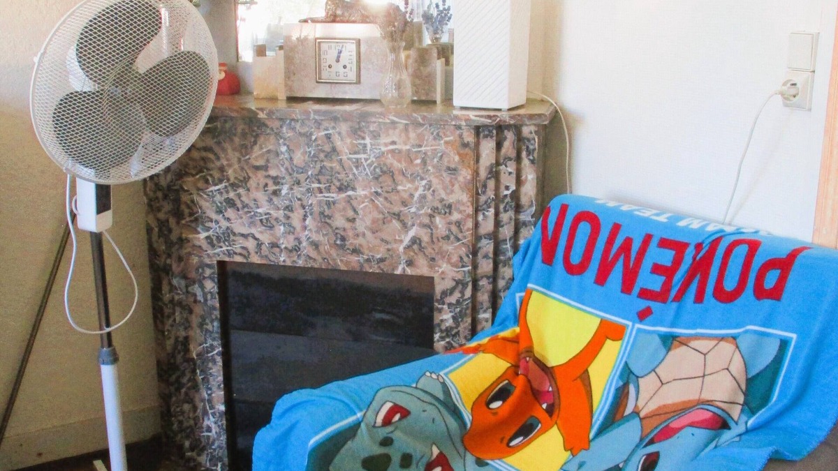 Ronce-les-Bains House | MER à 3mn,personnalisé,séjour Avec VOS Compagnons de vie !