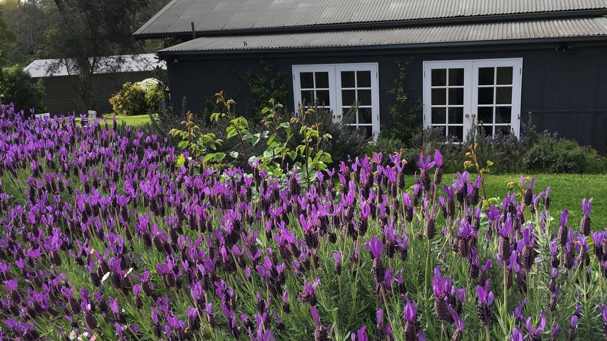 Merricks Cottage | Merricks Cottage - Boutique Accommodation