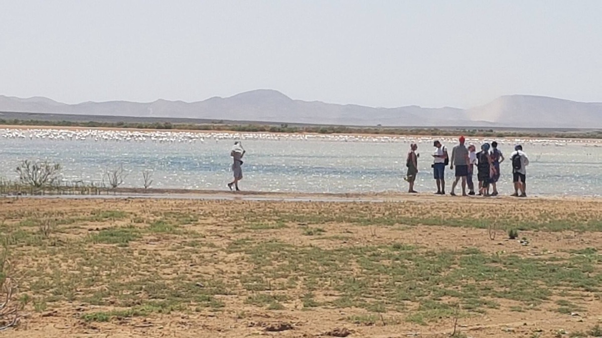 Hassilabied House | Merzouga activities camp