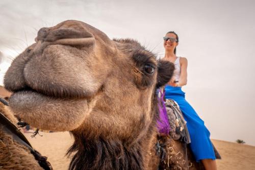 Merzouga Other | Merzouga Luxury Camp & Activities