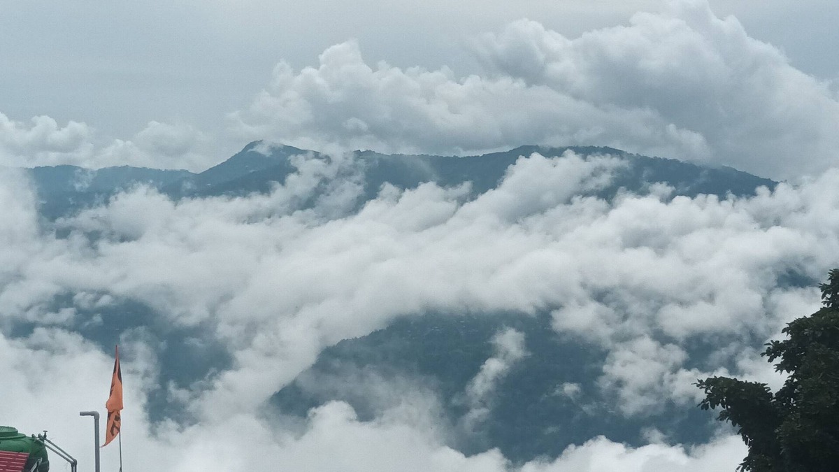 Karsiyang Bed & Breakfast | Mesmerising view from room