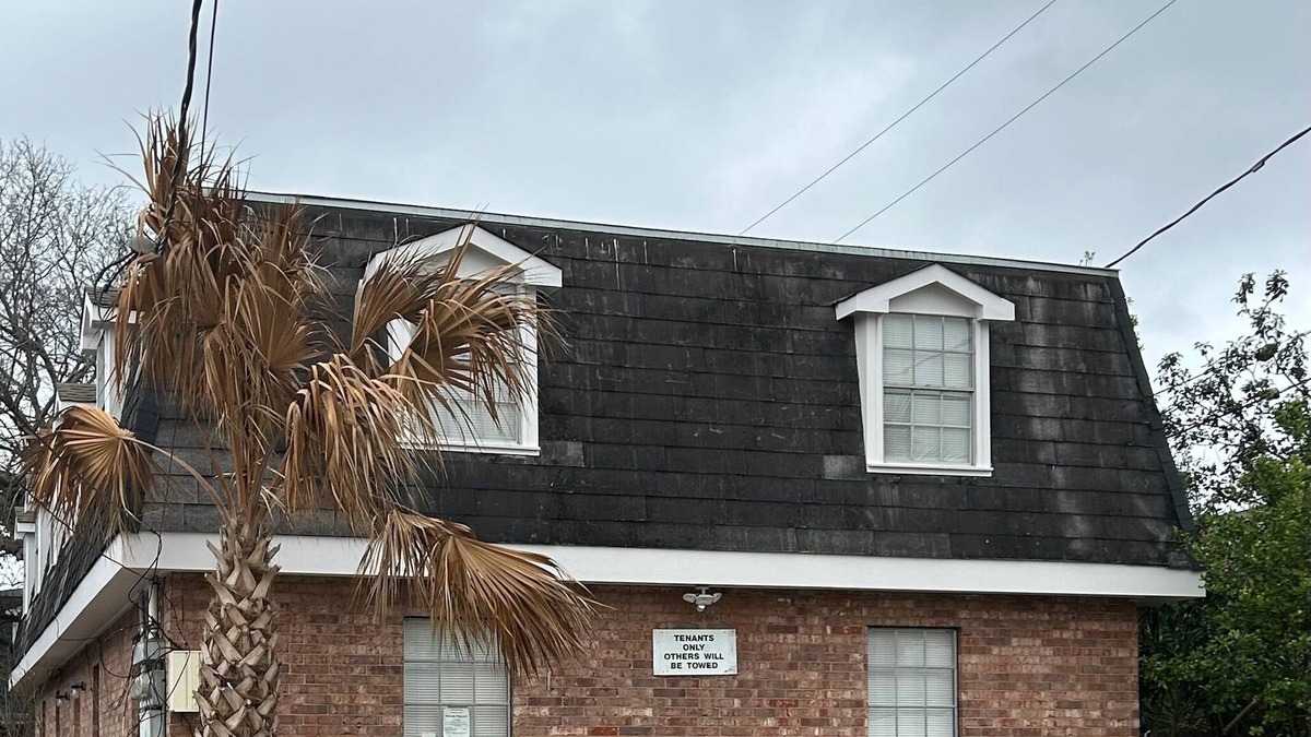 Metairie Apartment | Metairie magic, 2 bedroom gem