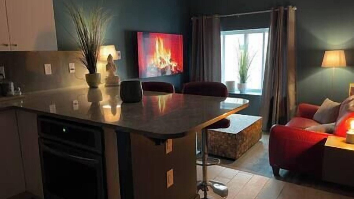 Red Deer Apartment | Metropolitan Loft 202
