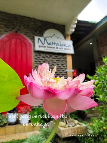 Mendut Hotel | Mettaloka Guesthouse