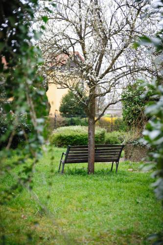 Kittersburg Apartment | MHosting