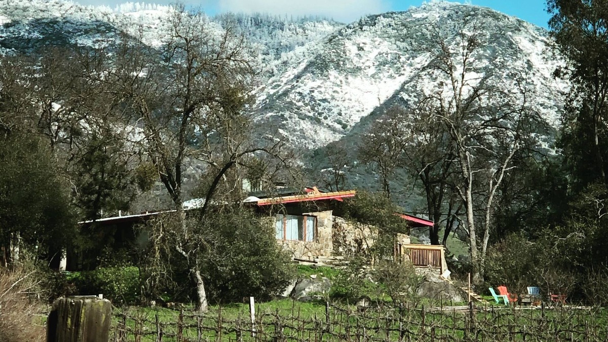 Dunlap House | Mid-Mod Boutique Vineyard Guesthouse