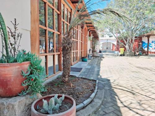 Pacasmayo House | Mini departamento playero - Pacasmayo