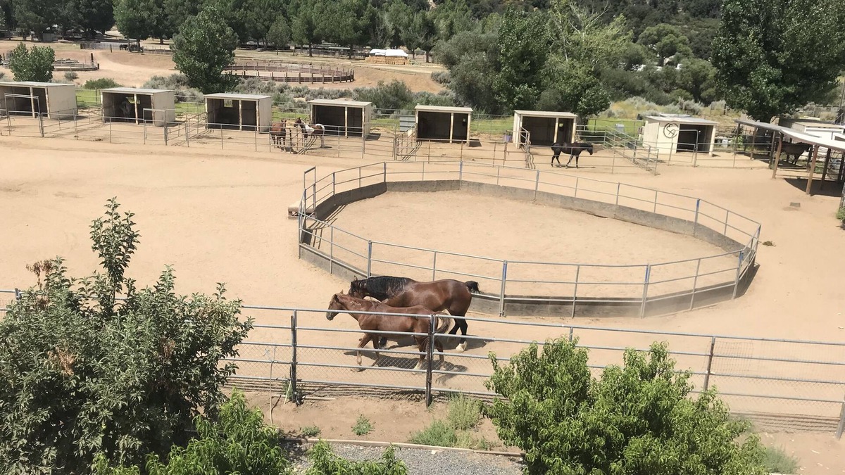 Pine Valley Apartment | Mini Dude Ranch. nWorking Horse ranch, studio, Pet friendly, Mountain Views