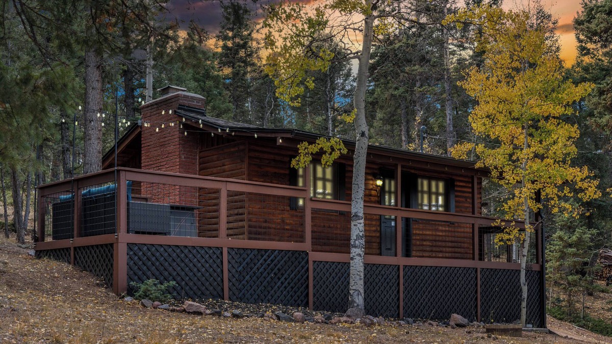 Divide Cabin | Mini Mountain Retreat surrounded by Trees in enchanting Divide with WiFi