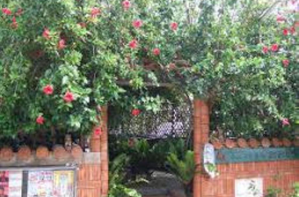 Kohagura House | Minshuku Itoman Garigari Oshiro - Vacation STAY 25712v