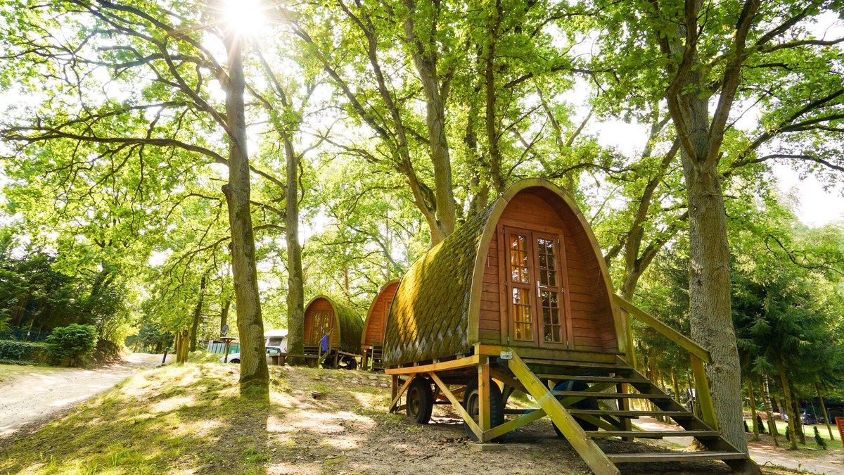 Lohmen Apartment | Miscellaneous for 2 guests with 10m² in Lohmen (271196)