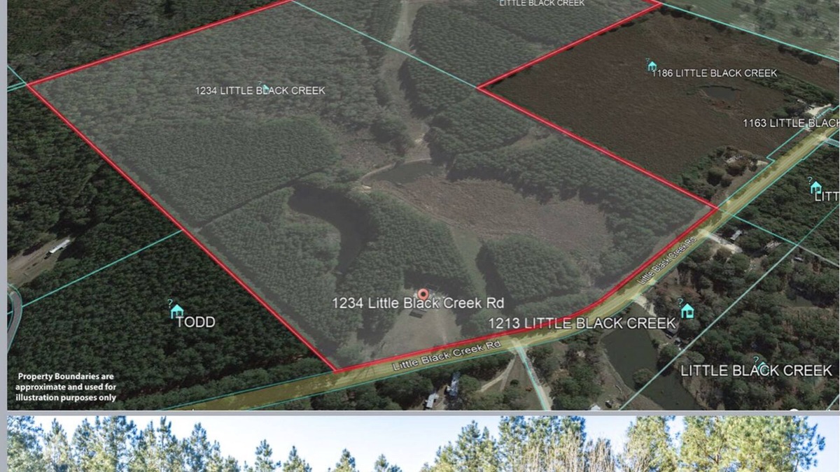 Lamar County Cottage | Miss Harmony Starr Farms