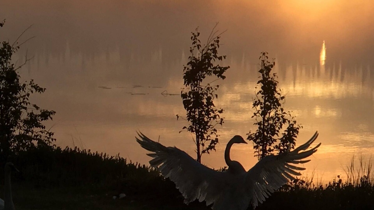 Meadow Lakes House | Misty Lake Carriage House