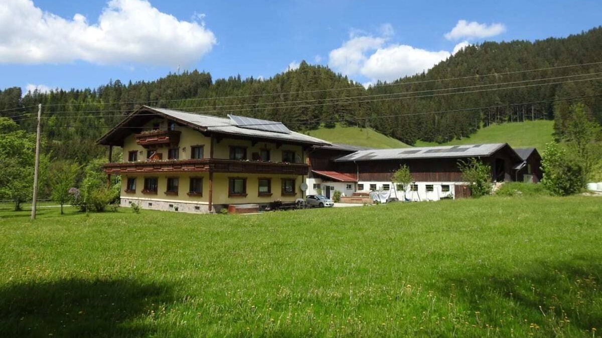 Kernhof Apartment | MOAR Sommerauer