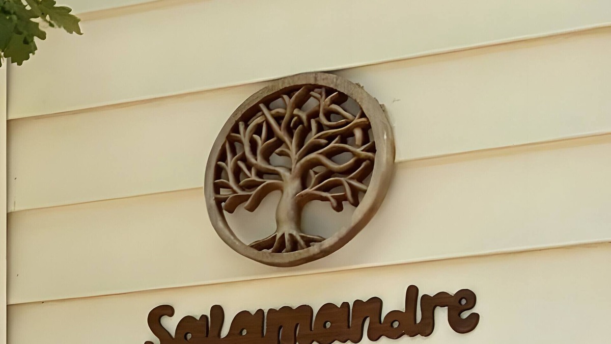 Sainte-Croix-du-Verdon House | Mobile Home 'Salamandre' with Lake View, Shared Pool and Air Conditioning
