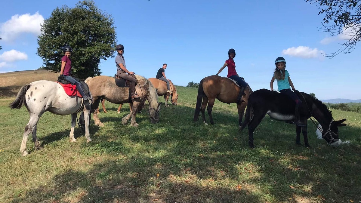 Tourtouse House | Mobile Home au Ranch du Bonheur, Évasion à la Ferme