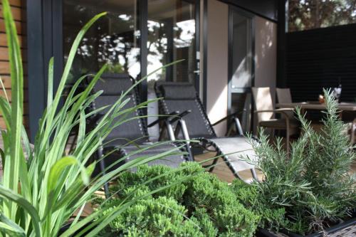 Borik Other | Mobile Homes Adriatic , Campsite Porton Biondi -Rovinj