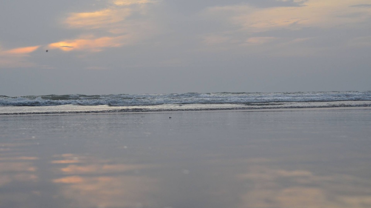 Mapusa Apartment | Modern 1 BHK Apartment in the North Goa