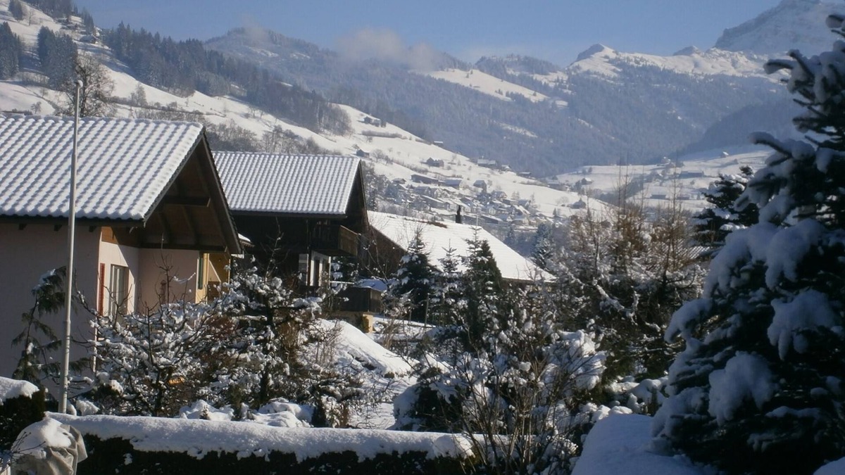 Gommiswald Apartment | Modern, 62m2 studio with kitchen