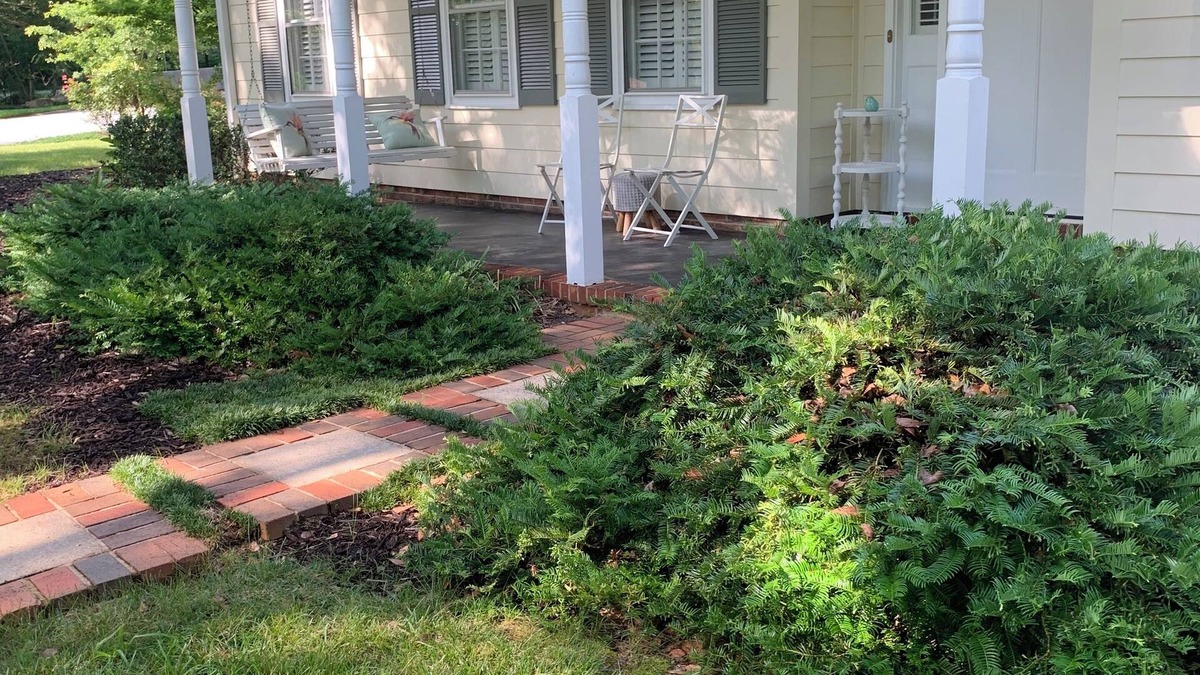 Wade Hampton House | Modern & Bright 3-bedroom house in Greenville between airport & downtown w/WiFi