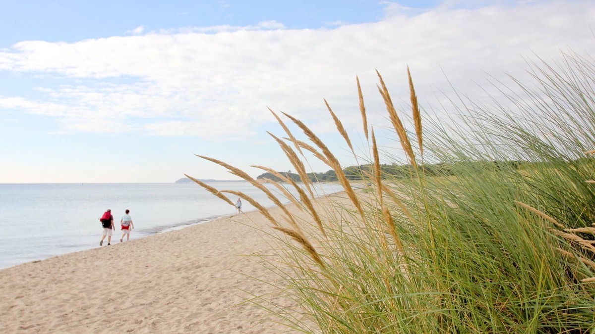 Gross Zicker Apartment | Modern vacation apartment with garden - Haus Inselwind FeWo MEERbucht