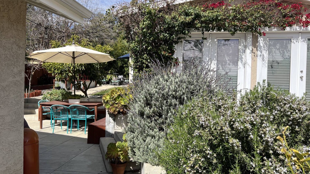 Altadena House | Modern Home with Spacious Yard near Rose Bowl, trails, and DTLA
