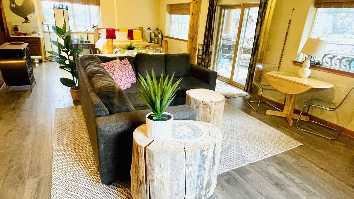 Ouray Apartment | Modern Studio Apartment on the River