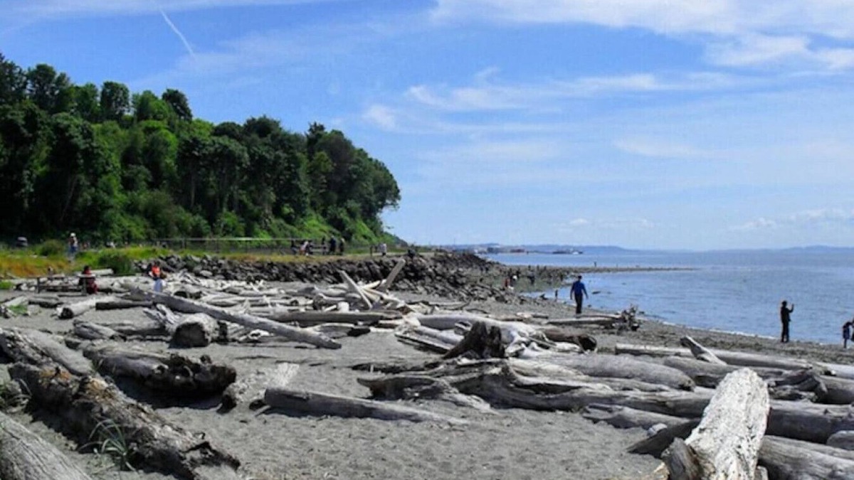 Pine Park Neighborhood Apartment | Modern Studio in Heart of Edmonds