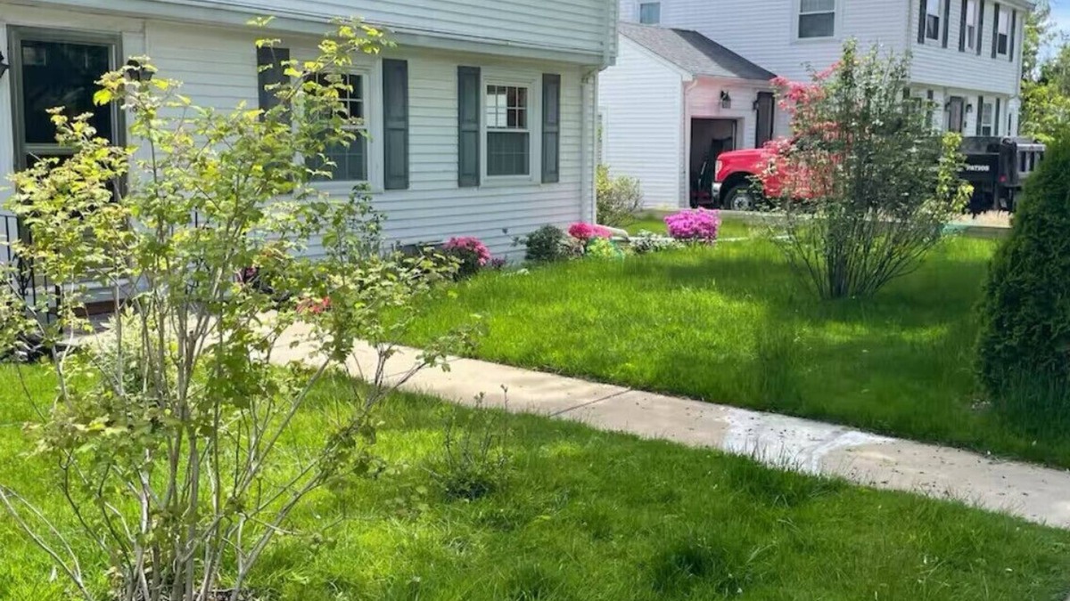 Belmont Apartment | Modern Studio near Universities Pharma & Hospitals