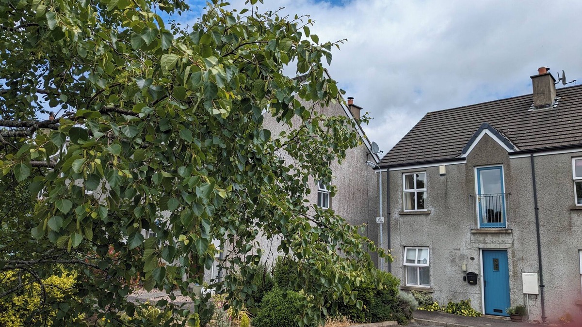 Bryansford House | Modern Townhouse with all conveniences, set in mountains and close to the sea