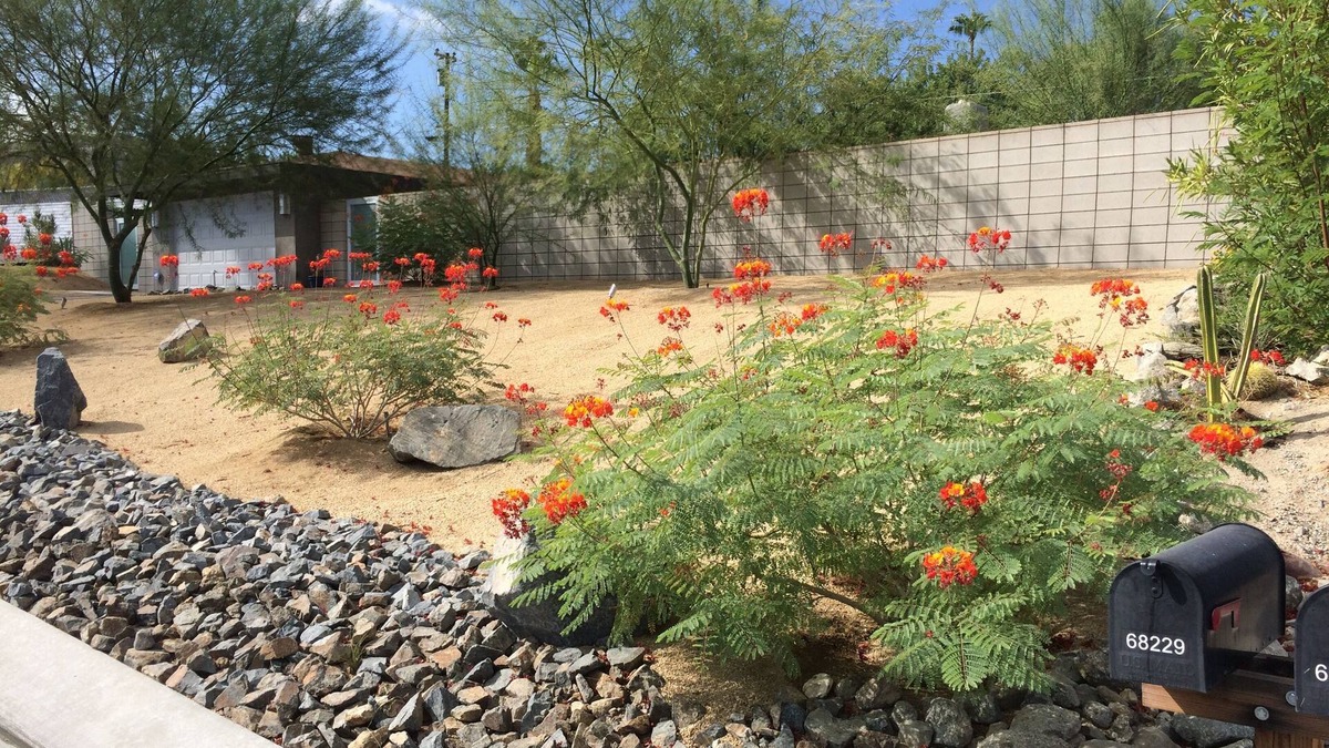 Cathedral City Cove House | Modern Zen Retreat - Best Indoor & Outdoor Living