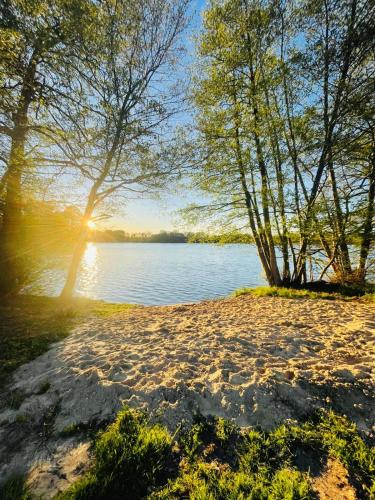 Blumenholz Apartment | Modernes Ferienhaus mit 4 separaten Appartements, je mit vollausgestatteter Küchenzeile und eigenem Bad, 2 Gehminuten zum Badesee, Garten, Grillplatz, Kinderspielbereich, Hunde sind willkommen