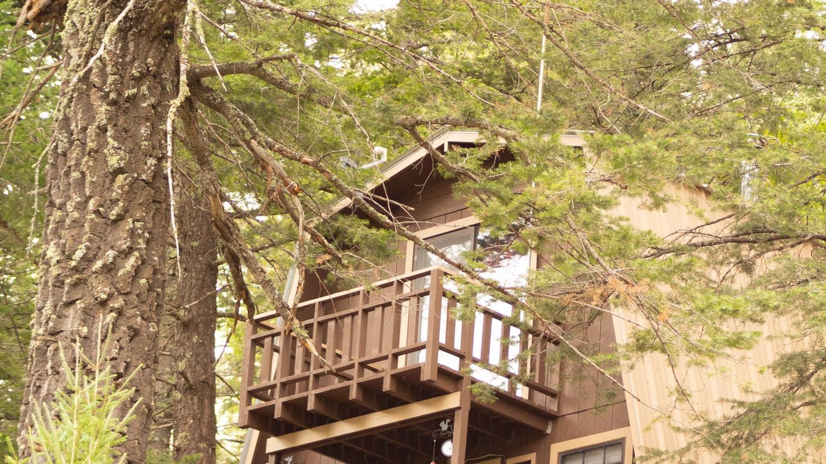Cloudcroft Cabin | Modified A Frame Cabin.King bed. Only mins. from Ski Cloudcroft and the village.