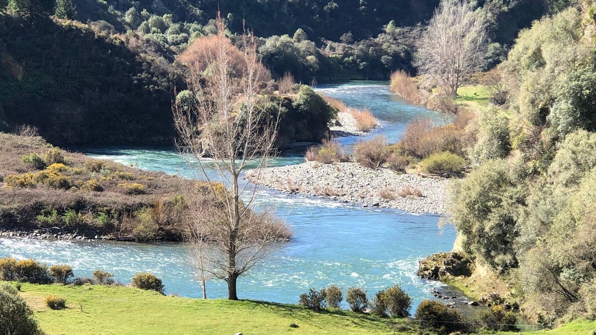 Te Haroto RV Rental | Mohaka River Farm - Campsite