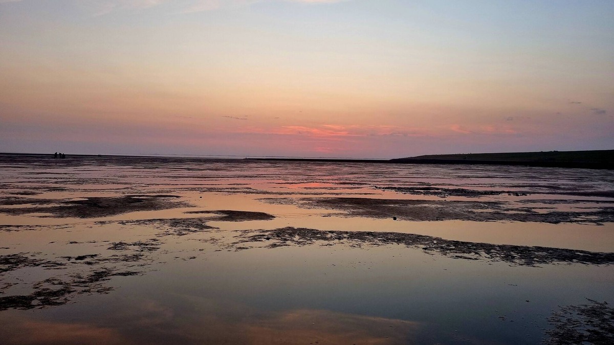 Bohmstedt Apartment | Moin moin here in our rural idyll