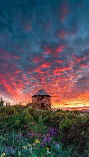 Friumes e Paradela Resort | Moinho do Ourives