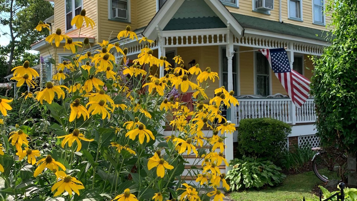 West Cape May House | Monarch Season! Pet friendly ,nWedding Party Accommodation Fall 2025