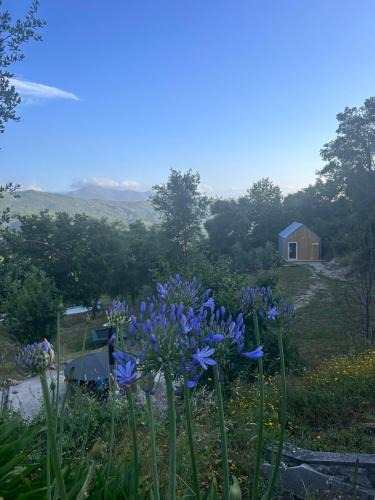 Seia House | Monkey Tiny Barnhouse with amazing views!