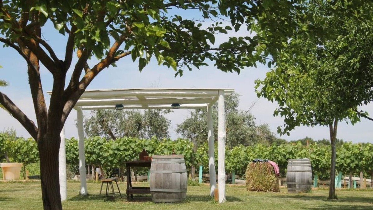 Vimieiro Bed & Breakfast | Monte das Aranhas Wine Luxury