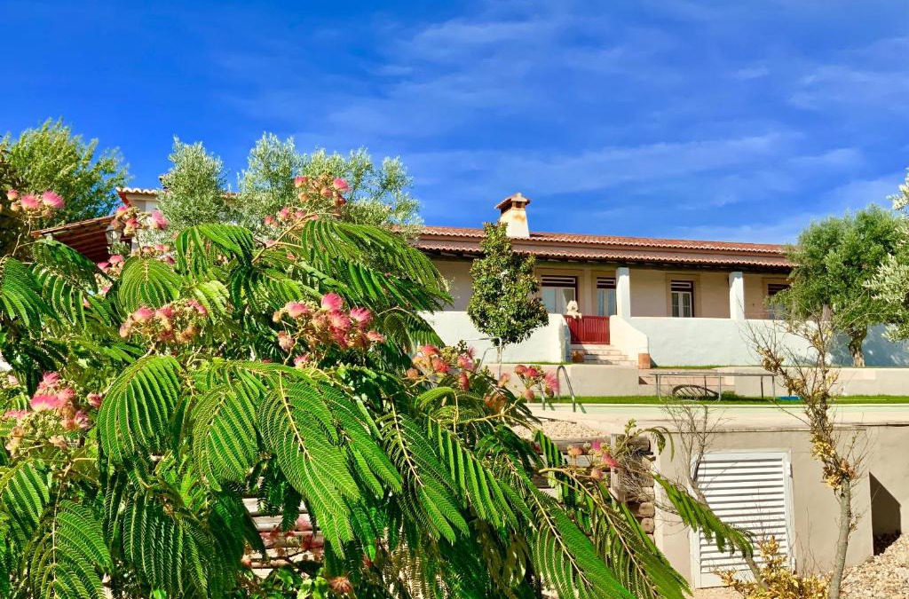 Pedrogao House | Monte das Oliveiras - Country House