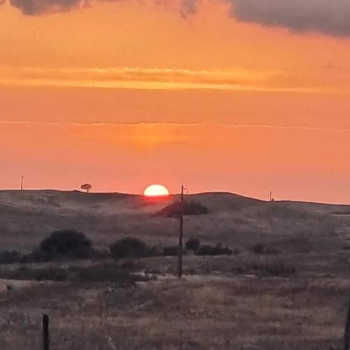 Castro Verde House | Monte das Sorraias Casa Emília