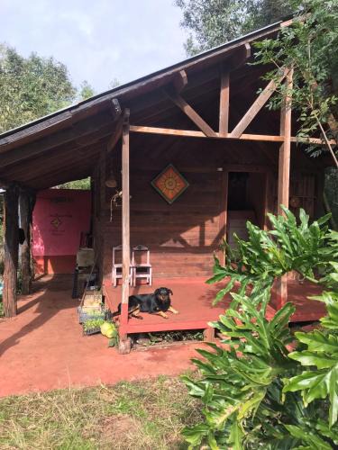 Departamento Obera Other | Monte Kurumi cabañas y camping