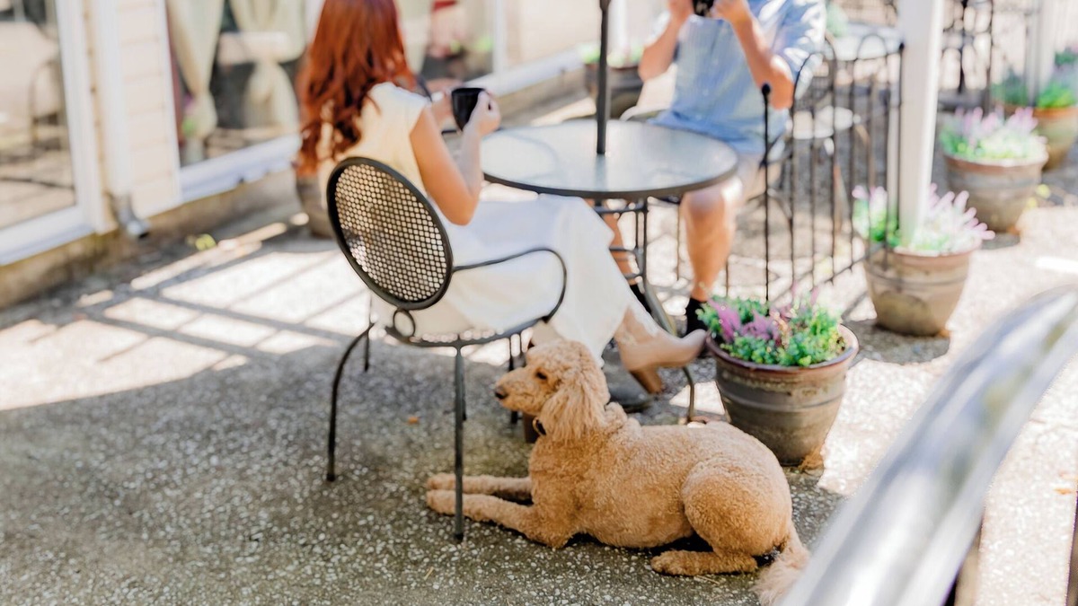 Versailles Bed & Breakfast | Montgomery Inn BnB