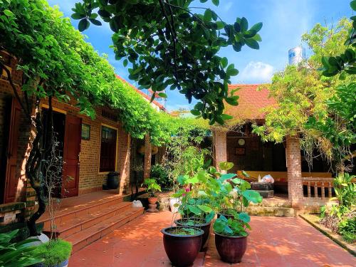 Son Tay Apartment | Moon Garden - Homestay Đường Lâm, Hà Nội