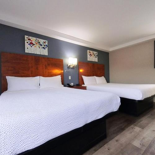 Sudbury Hotel | Moonlight Inn and Suites Sudbury