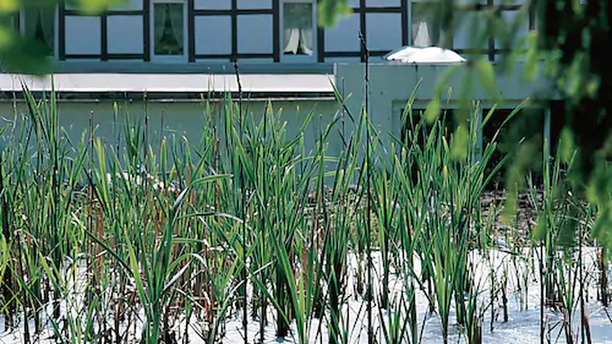 Valdorf Hotel | Moorland Hotel Am Senkelteich